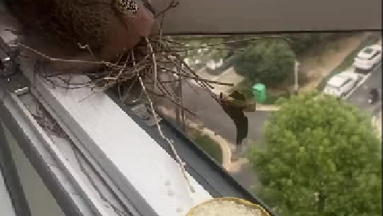 我吃你的住你的