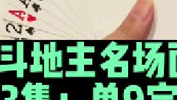 斗地主名场面第53集：源哥决战掘开一张单9打蒙开天辟地