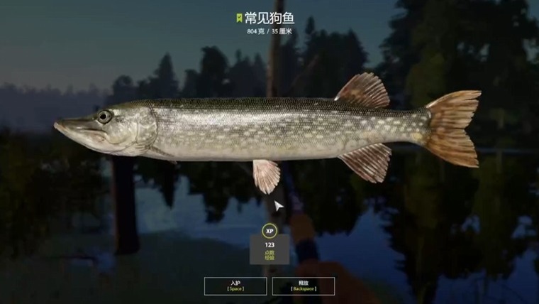 俄罗斯钓鱼4（狗鱼狂口点位）