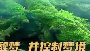 （中）什么方法进入清醒梦？