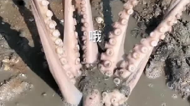 收获满满的一天