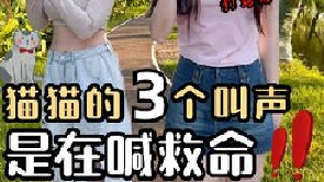 猫猫的3个求救声一定要听懂‼️ 别让猫咪的求救，变成无声的离开