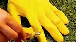 年薪百万的园艺大师不会告诉你的种植小技巧！