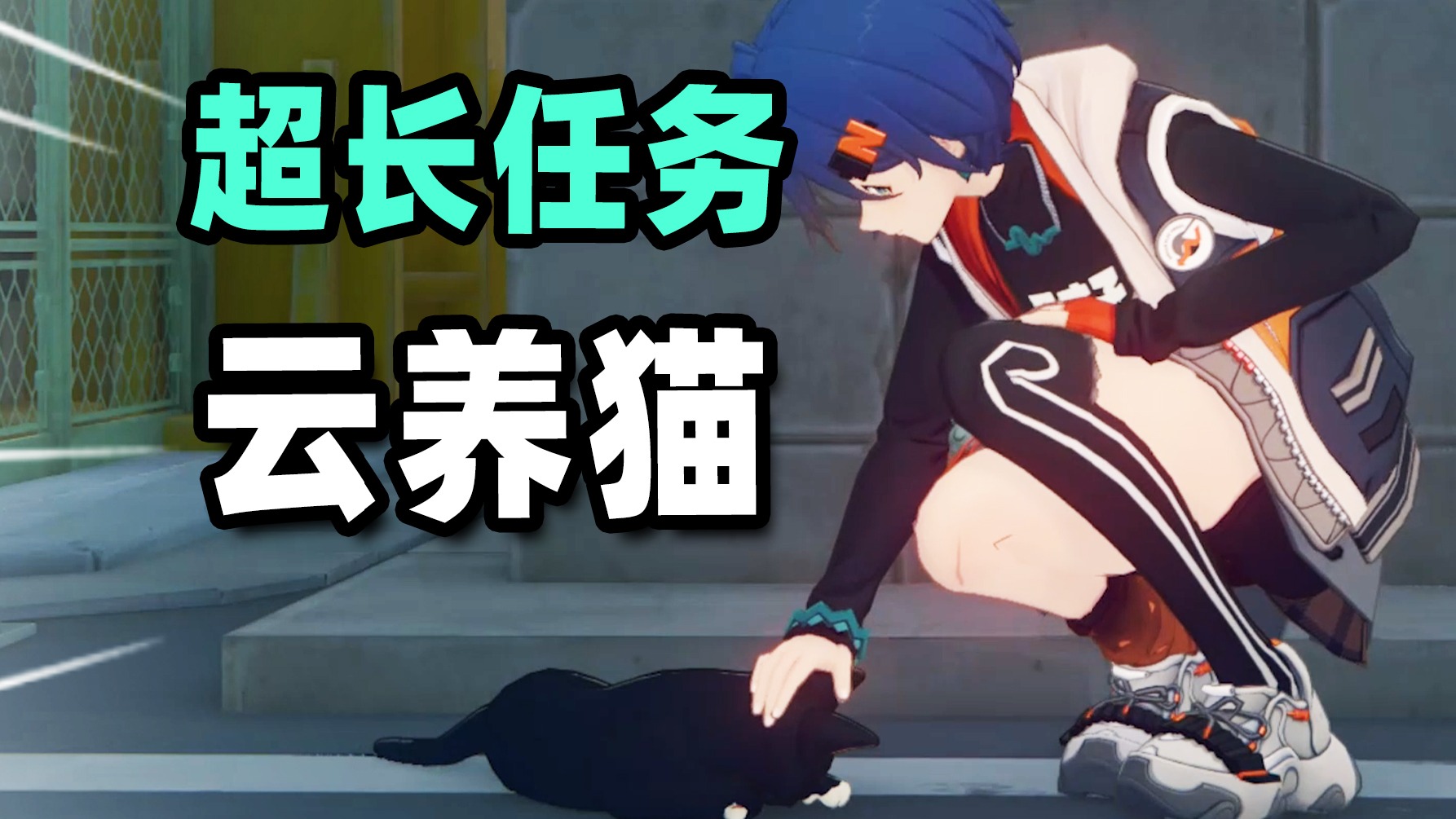 如何在绝区零云养猫？超快攻略两个半小时带回家!