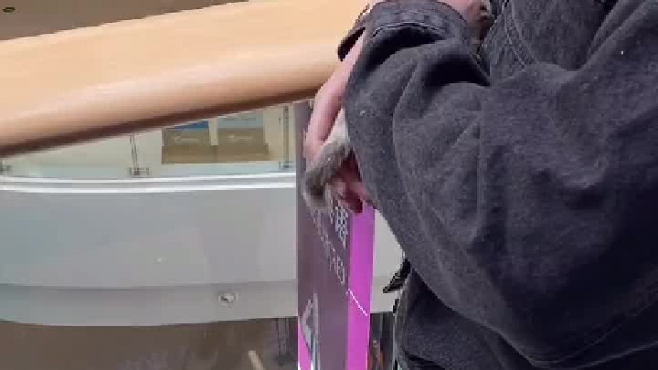 训练蜜袋鼯 这种玩法很普遍，你玩过吗