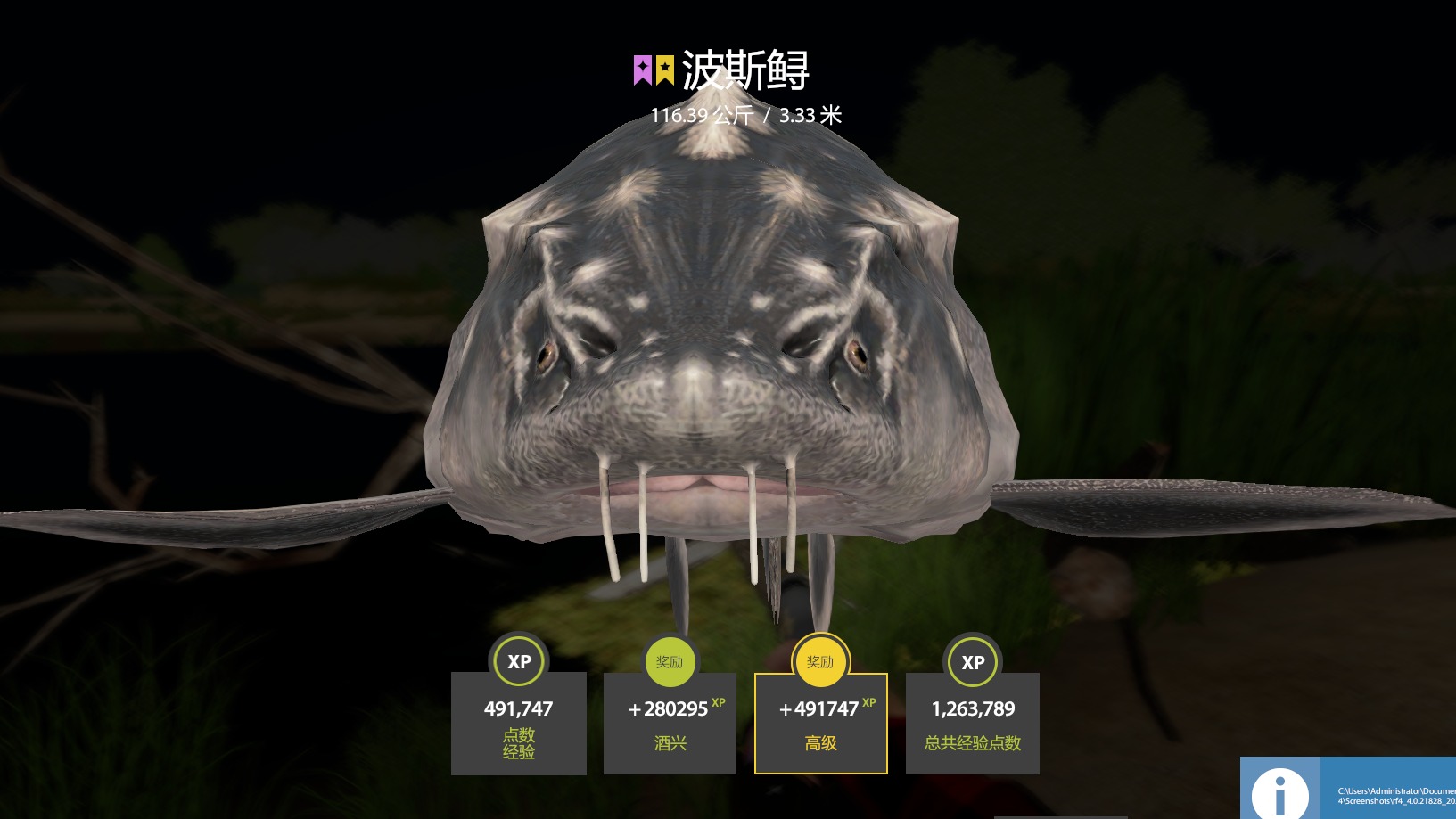 星波斯上鱼瞬间到过程