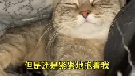 当你养了一只妈宝猫