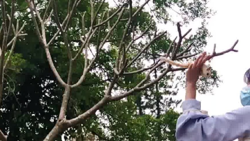 探头探脑找到目标