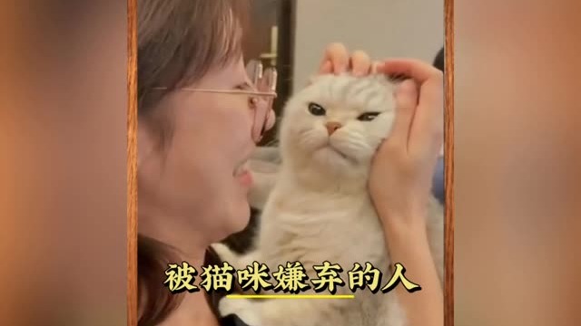 你有没有被你家猫咪嫌弃过。