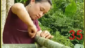 收获落葵 跟菠萝蜜 实现水果自由