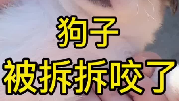 没想到拆鼠子这么难相处，活该单着。