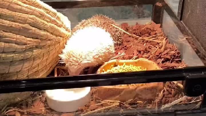 水视频的最高段位 实在没头绪，饶我一次