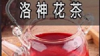 为什么国外的女生，大部分都爱喝这种茶？