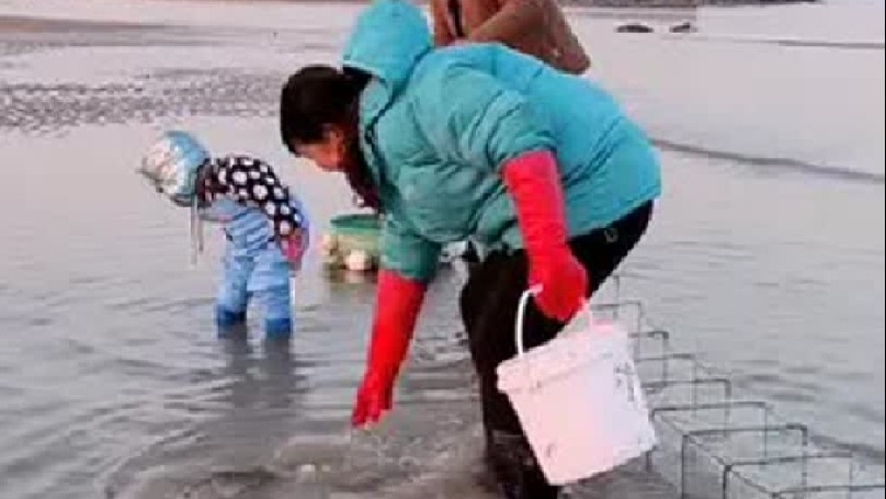 又是收货满满的一天