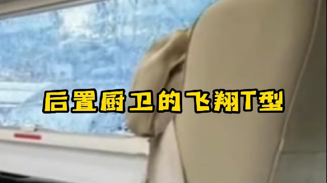 后置厨卫的飞翔T型，太罕见了这个车