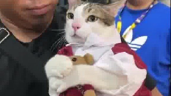 喜欢抱公仔的小公举