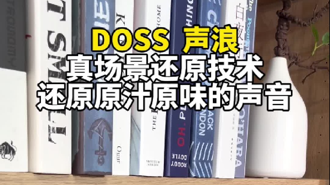 你是否也在为找不到一款真正满足自己耳朵的音箱而烦恼？来看看