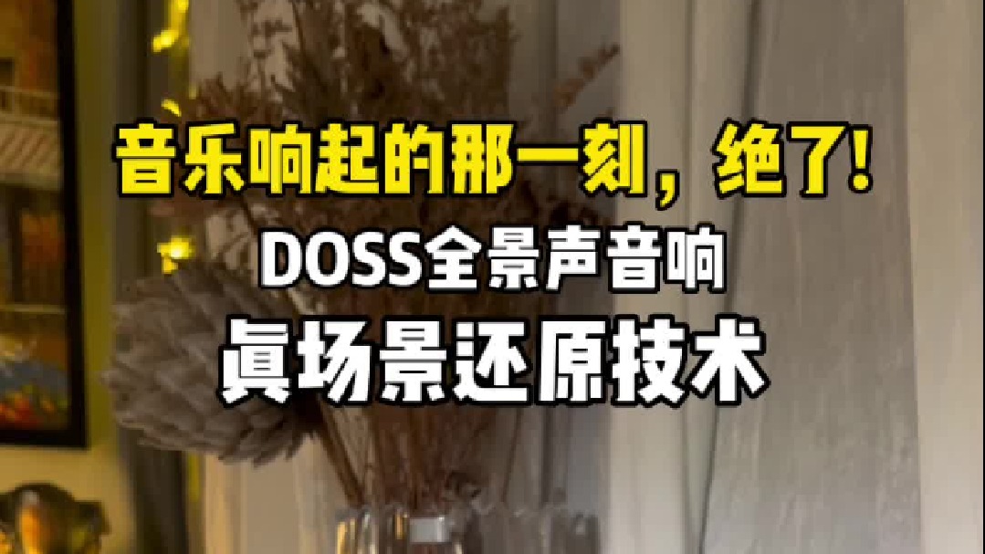 真场景还原更多细节DOSS全景声发烧音响