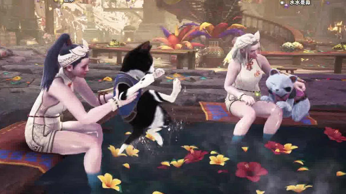 谁不喜欢小猫咪呢