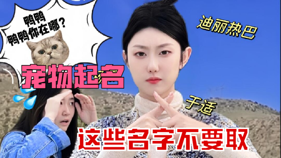 新手养猫避坑指南，慎选猫咪名字，避免这些禁忌