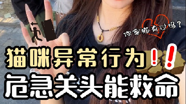 地震前的这些行为你家猫有过吗