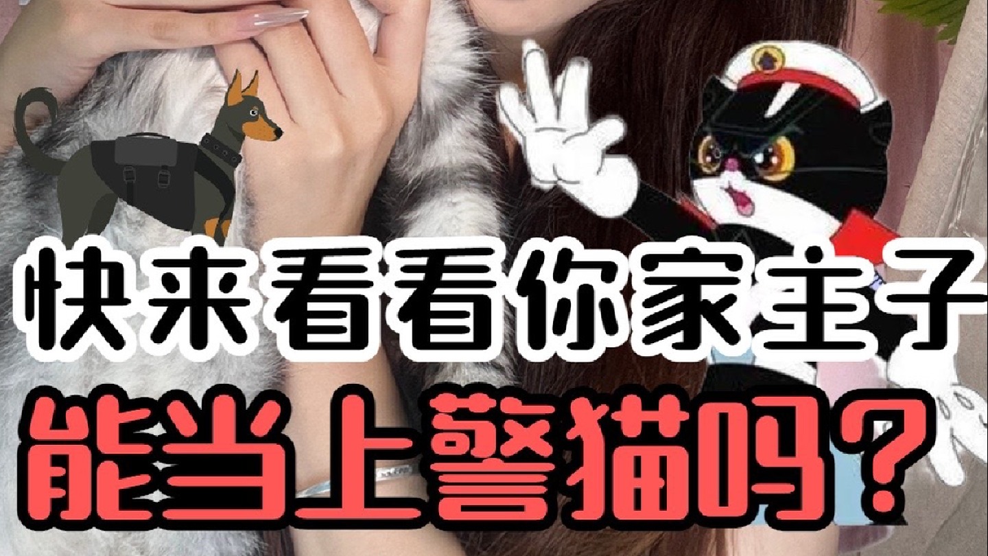 为什么只有警犬没有“警猫”呢