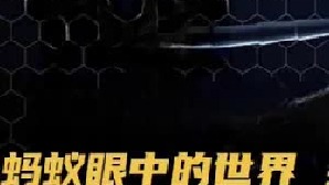 细思极恐！蚂蚁眼中的世界，到底谁才是这个宇宙的蝼蚁？1