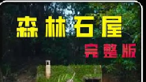 男人在山坡上搭建庇护所，全程自己动手，高能不断 (2)