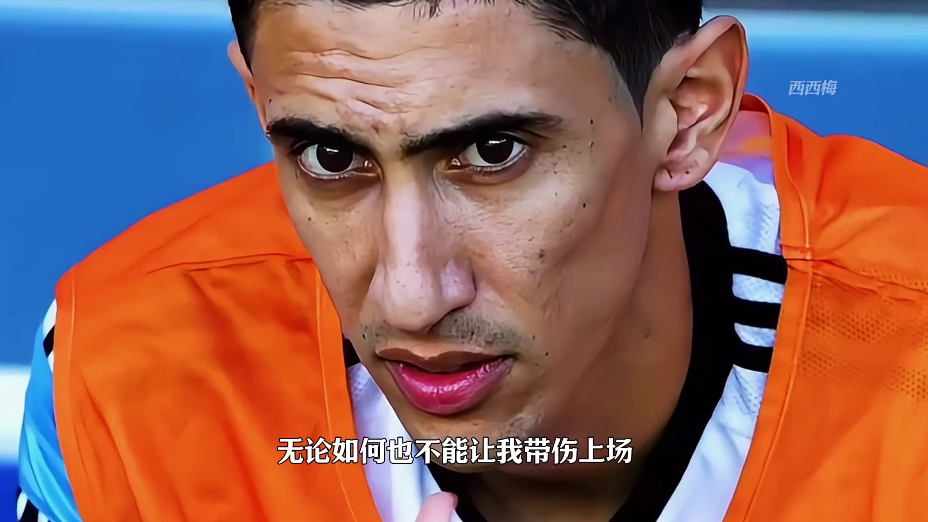 致里奥的一封信