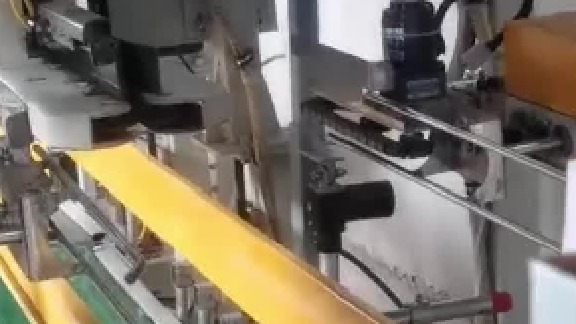 25kg石榴酸自动抱袋包装机