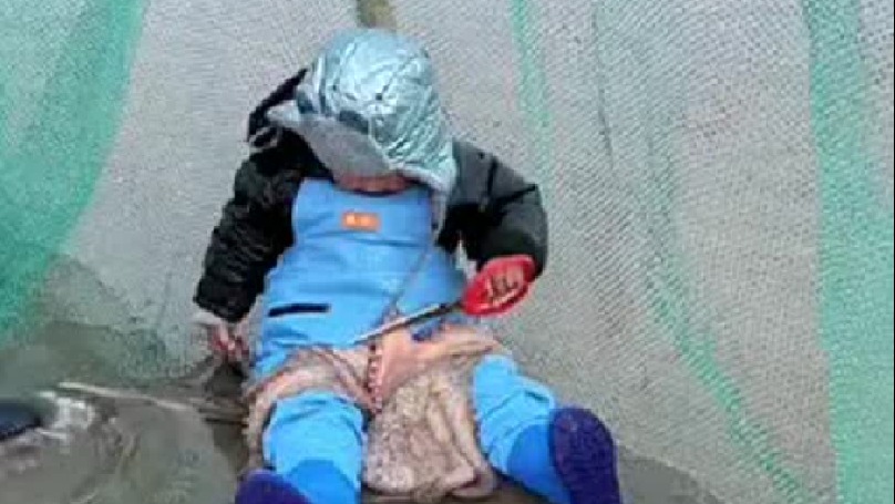 收获满满的一天