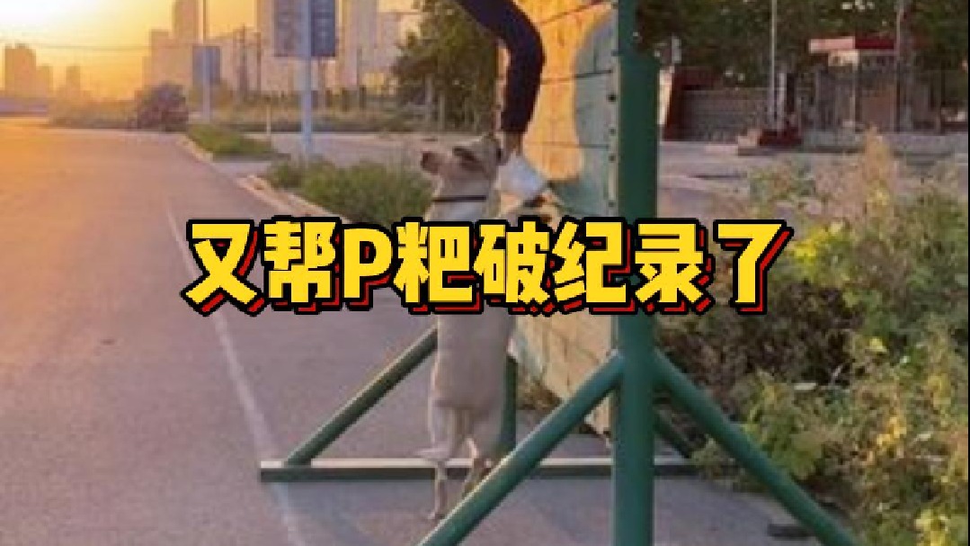Popper又帮P粑破纪录了