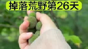 掉落荒野的第26天终于吃到了心心念念的烧烤啦