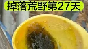 掉落荒野的第27天，我要出海打渔啦