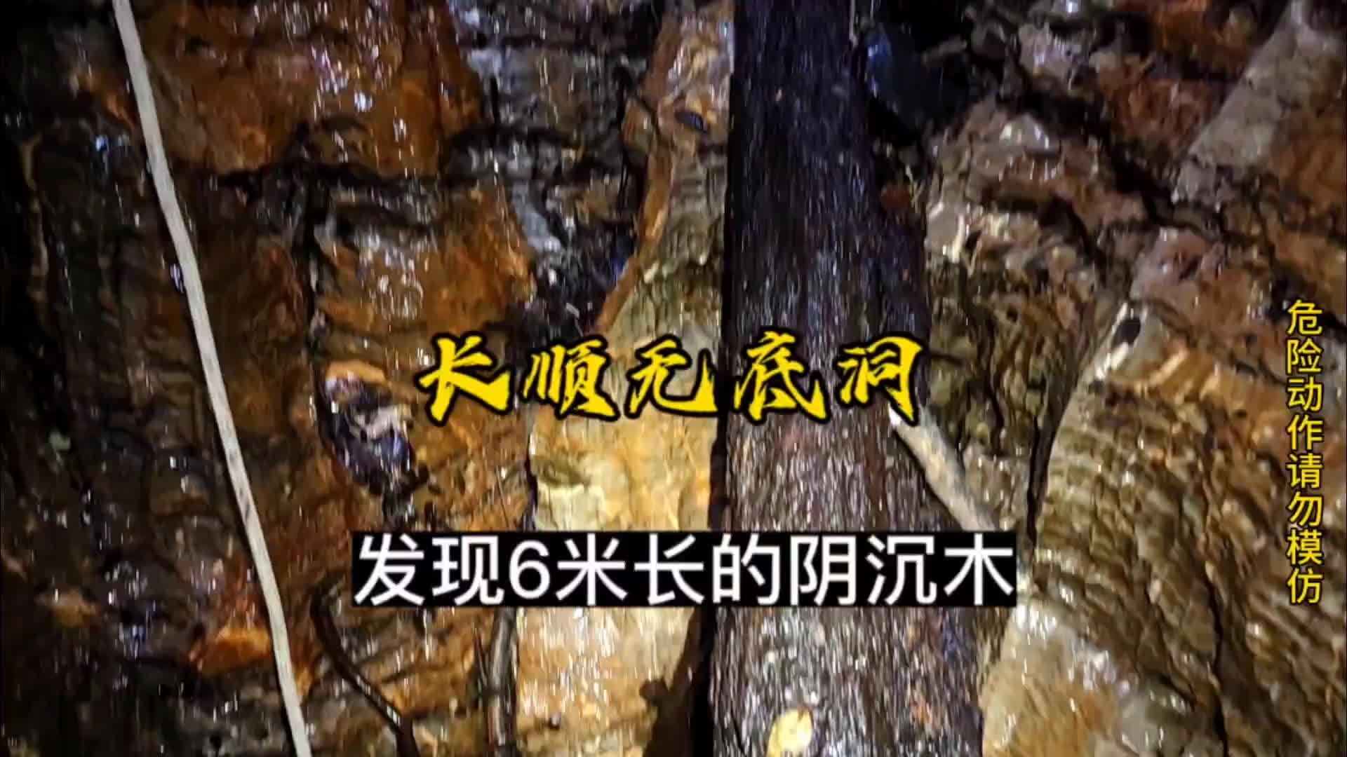 探秘长顺无底洞，发现6米长的阴沉木