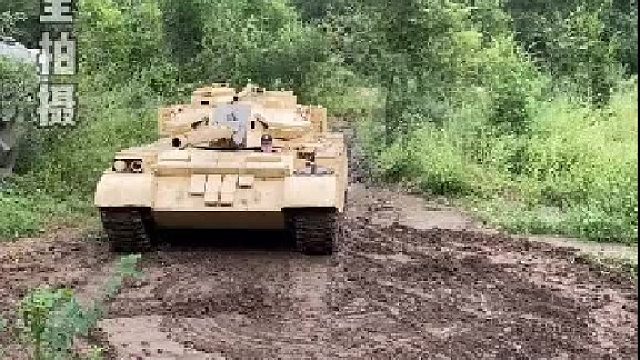 这个大东西你见过吗