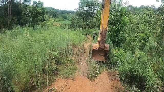 修一条简易路，用车拖橘子用。