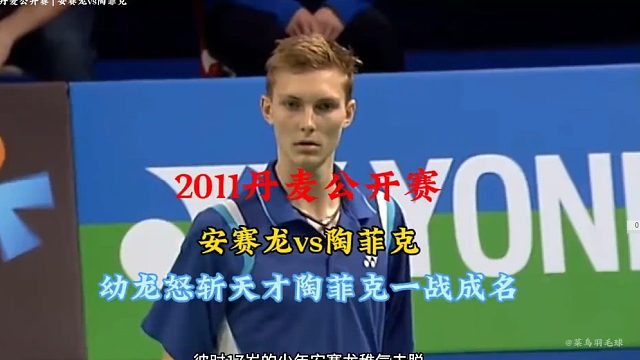 经典回顾2011丹麦赛安赛龙vs陶菲克   (3)