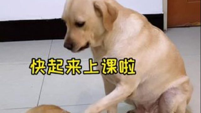 这难道就是学霸跟学渣的区别吗