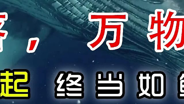 一鲸落，万物生；生当似鹏起，终当如鲸落（中篇）