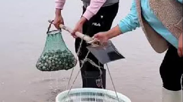 又是收获满满的一天