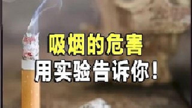 吸烟的危害有多大？用科学实验告诉你！