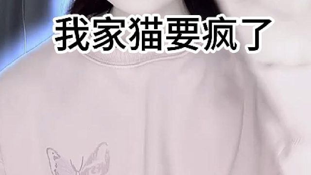 我家猫要疯了