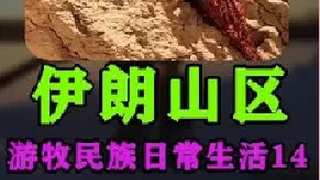 游牧民族开始了他们的一天 (3)