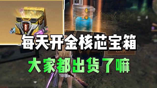 每天都可开金核芯宝箱，你出货了嘛