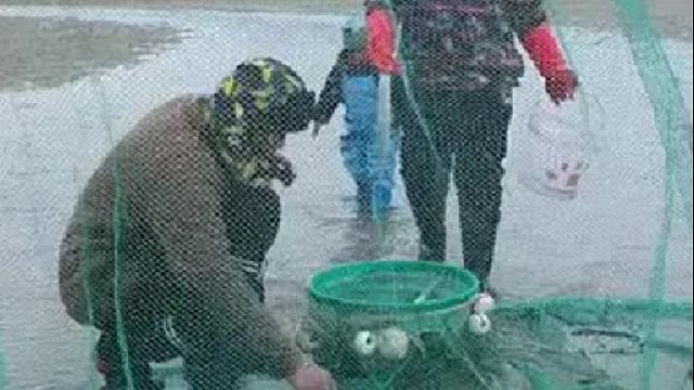 户外赶海抓海鲜