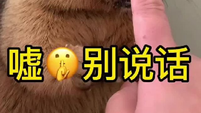 别说话，让我们聆听彼此。