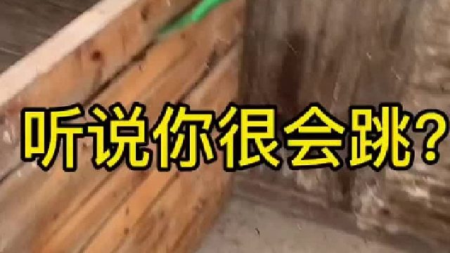 听说你很会跑，会跑有个p用啊！还不是让我逮着了。