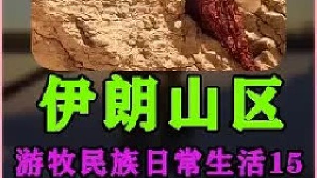 伊朗游牧民族日常生活采集积雪  (1)