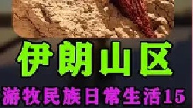 伊朗游牧民族日常生活采集积雪  (3)